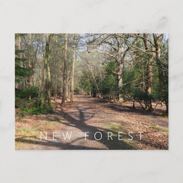 Ny skog vykort (Framsida)