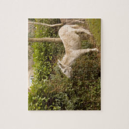 Ny skogponny som strövar omkring fotojigsawen pussel