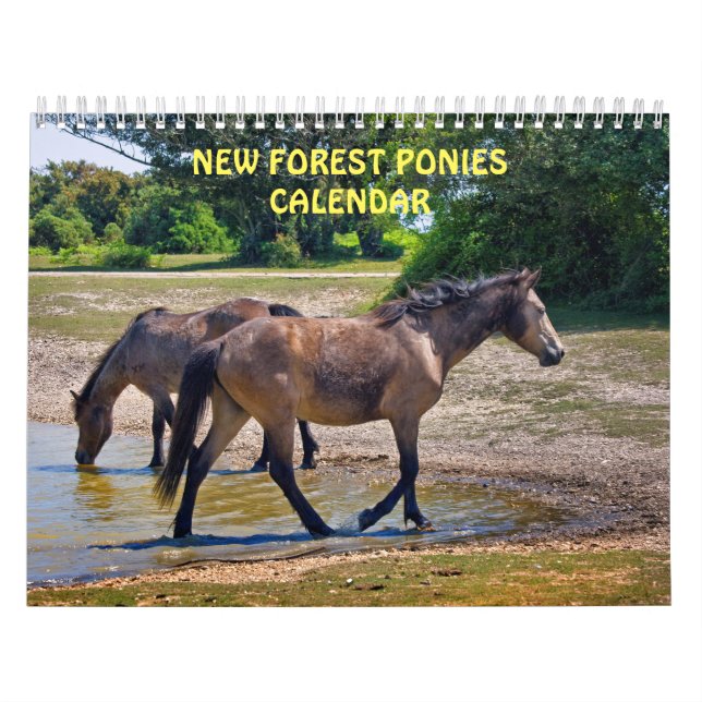 Ny Skogshästar Kalender (Omslag)