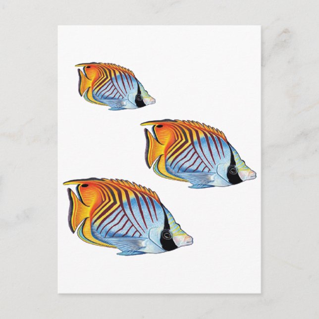 NY SKOLDAG VYKORT (Framsida)