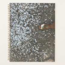 Ny start- och första stegplan