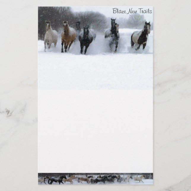 Ny stationär slingahäst för eldsvåda (Framsida)