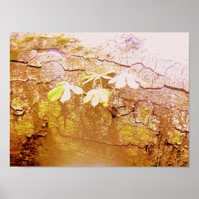 Ny tillväxt på den fallande Träd-stammen Poster (Framsidan)