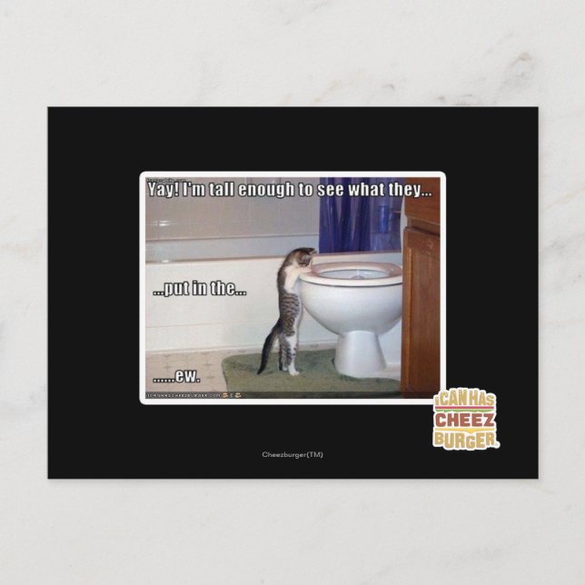 ny vykort (Framsida)