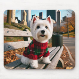 NY Westie Musmatta