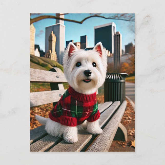 NY Westie Vykort (Framsida)