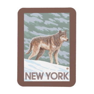 Ny YorkWolf plats Magnet