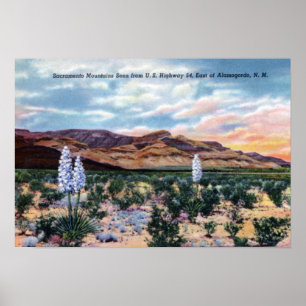 Nya Alamogordo - mexico Sacramento berg Poster