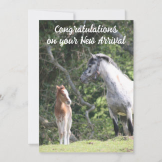 Nya ankomsten meddelande