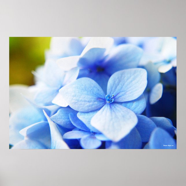 Nya blåsor poster (Framsidan)