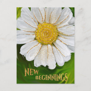 Nya början - Daisyns blomsterkraft Vykort