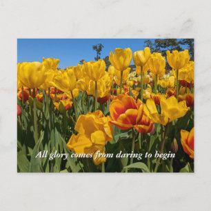 Nya Början Vår Gula Tulpan Blommor Vykort