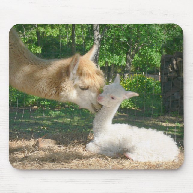 Nya Cria Mousepad Musmatta (Framsidan)