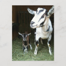 Nya Doeling med mammagetvykortet Vykort