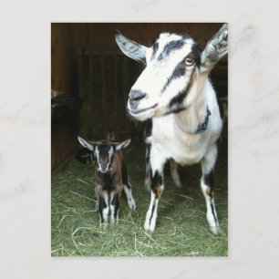 Nya Doeling med mammagetvykortet Vykort