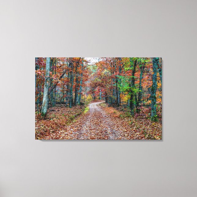 Nya fall på Dirt Road Canvastryck (Framsida)