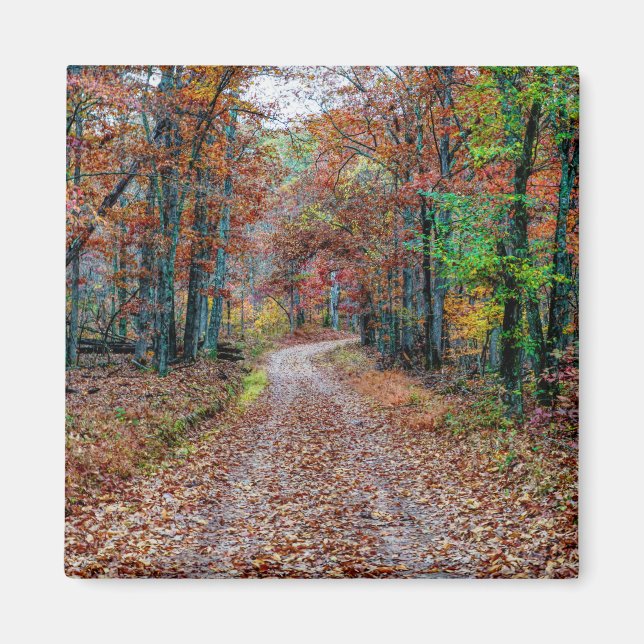 Nya fall på Dirt Road Magnet (Framsidan)