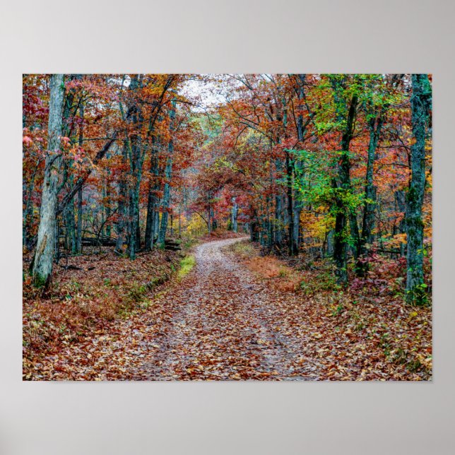 Nya fall på Dirt Road Poster (Framsidan)