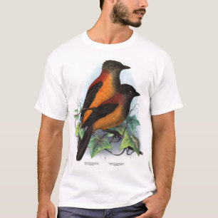 Nya Guinea: Två arter av Pitohui T Shirt
