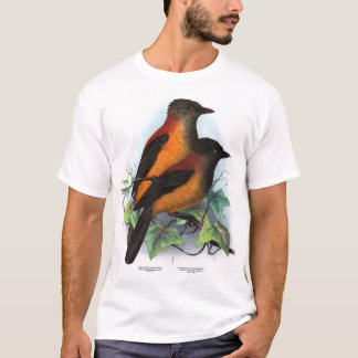 Nya Guinea: Två arter av Pitohui T Shirt