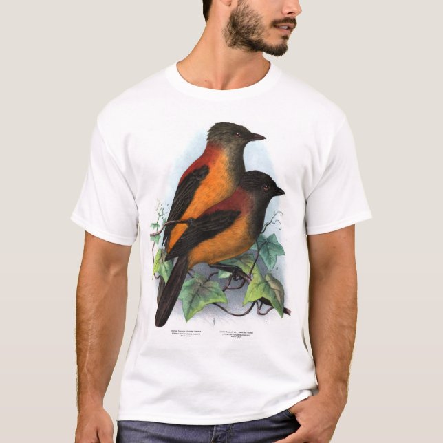 Nya Guinea: Två arter av Pitohui T Shirt (Framsida)