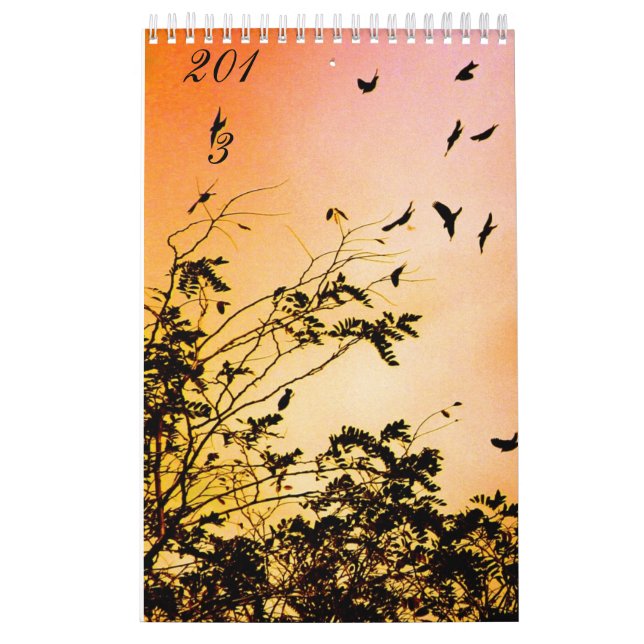 nya hopp kalender (Omslag)