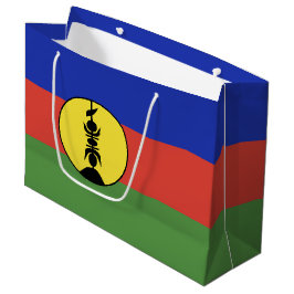 Nya Kaledonien flagga