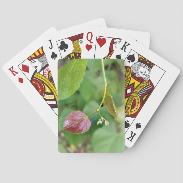 nya löv vår casinokort (Baksidan)