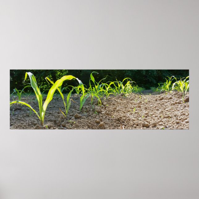 nya maj poster (Framsidan)