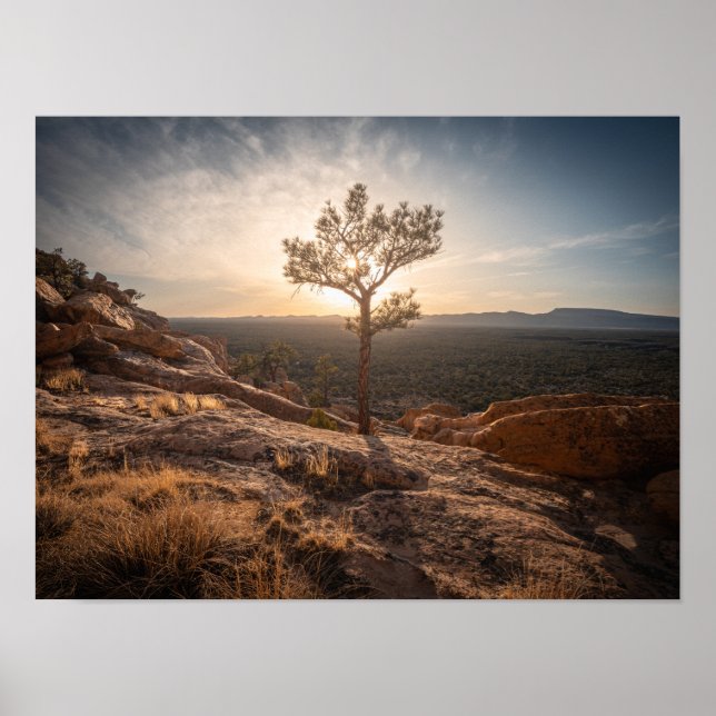 Nya Mexikos landskapsfoto Poster (Framsidan)