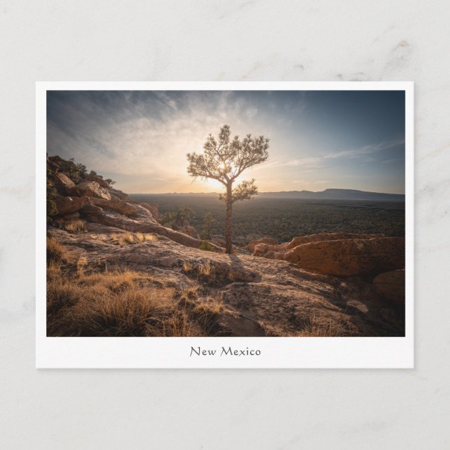 Nya Mexikos landskapsfoto Vykort (Framsida)