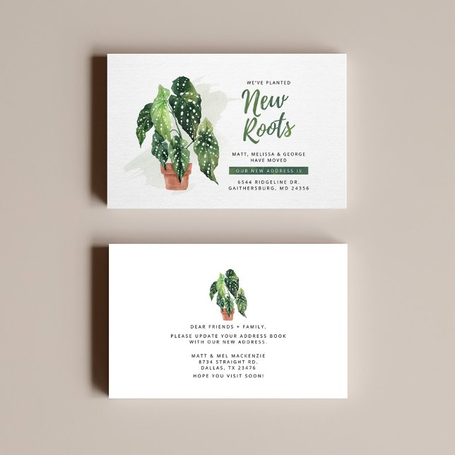 Nya rötter Förändring av Adress Flytta-meddelande Visitkort (Skapare uppladdad)