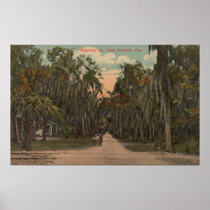 Nya Smyrna, Florida - beskåda av Magnolia Poster