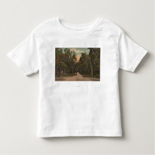 Nya Smyrna, Florida - beskåda av Magnolia T-shirt