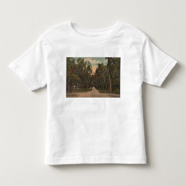 Nya Smyrna, Florida - beskåda av Magnolia T-shirt (Framsida)