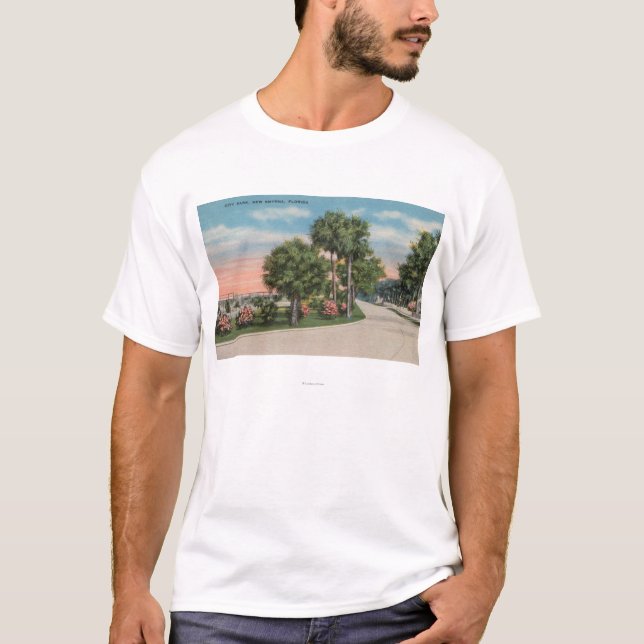 Nya Smyrna, Florida - gatan beskådar av stad T-shirt (Framsida)