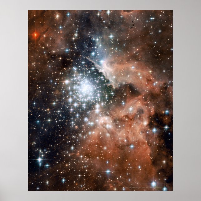 Nya stjärnor i NGC 3603 16 x 20 (16 x 20) Poster (Framsidan)