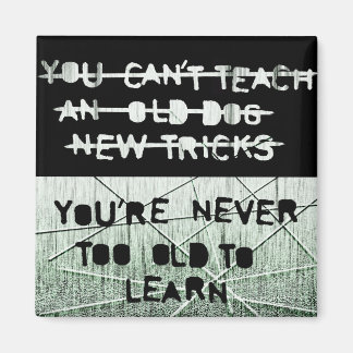 Nya tricksmagnet magnet