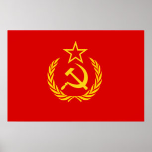 Nya Ussr, Demokratiska republiken Kongo-flagga Poster