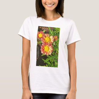 Nya utseendeskjortor med mera t shirt