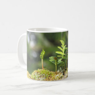 Nya växten Fern Moss Nature Enthusiast Grönt Plant Kaffemugg