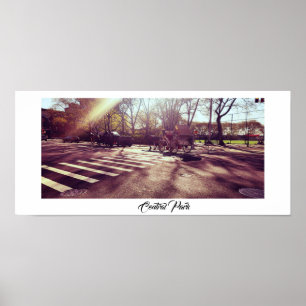 NYA YORK POSTER CENTRALPARK