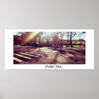 NYA YORK POSTER CENTRALPARK