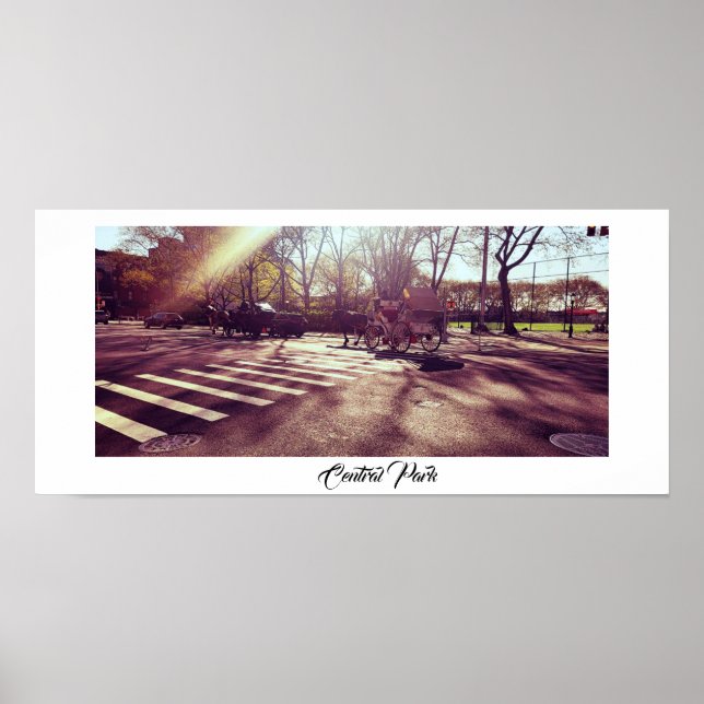 NYA YORK POSTER CENTRALPARK (Framsidan)
