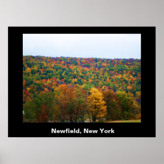 NYA YORK-poster Poster
