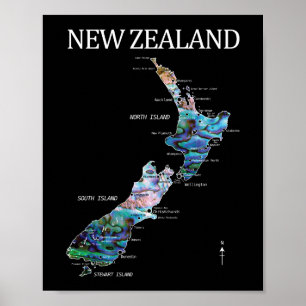 NYA ZEALAND KARTA DETAILED PAUA POSTER