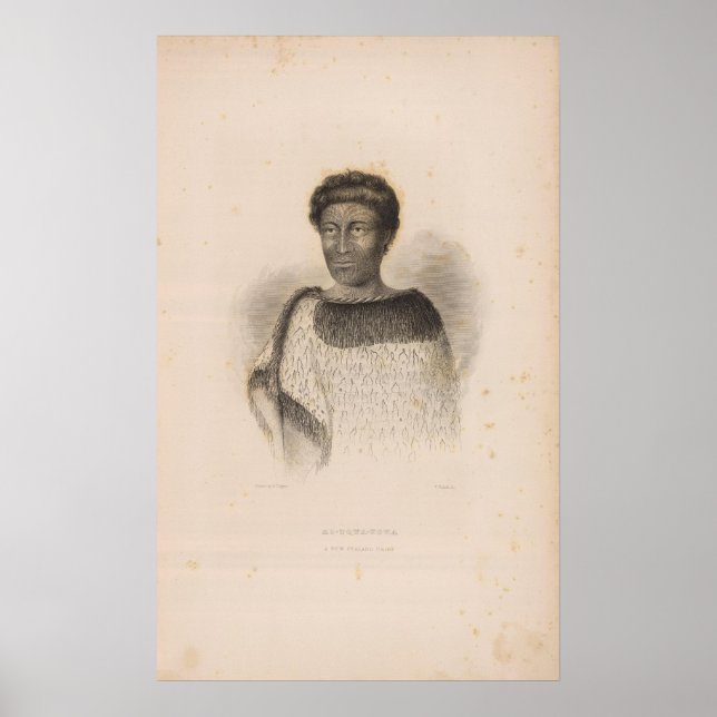 Nya Zeeland 2 Poster (Framsidan)