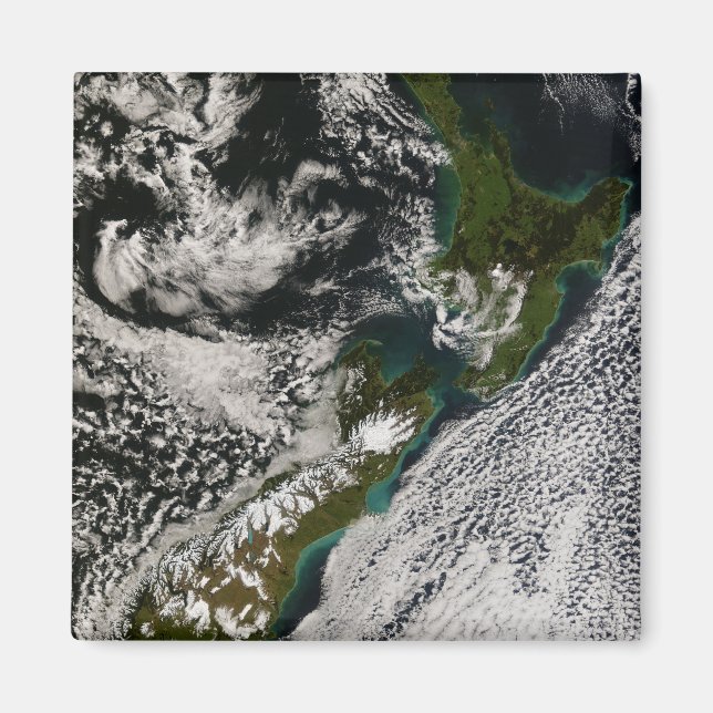 Nya Zeeland 5 Magnet (Framsidan)