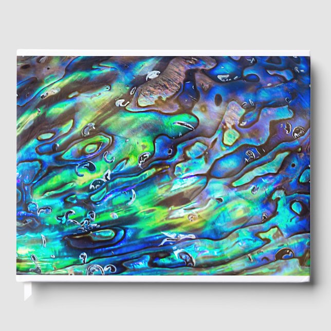 Nya Zeeland Abalone Paua Snäcka Mönster 1 Gästböcker (Framsida)