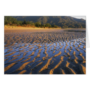 Nya Zeeland, Abel Tasman National Park, Kust 2 Hälsningskort